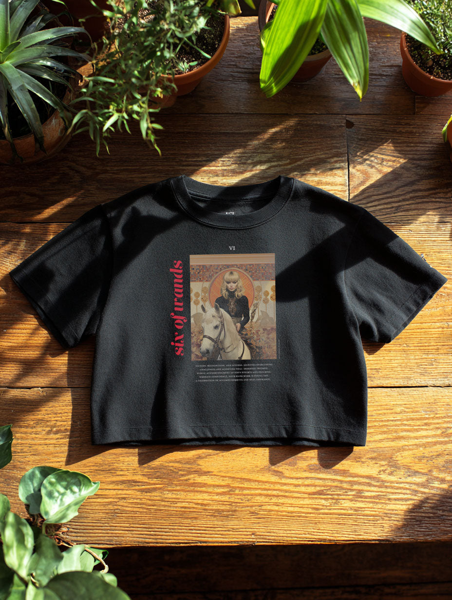 Cropped Tees: The Light Star Collection